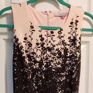 Carmen Marc Valvo Fit & Flare for dressbarn/pink